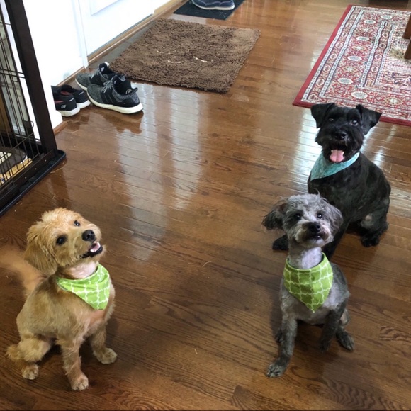 ⚓️Meet your posher, Amy ⚓️ - Picture 5 of 14